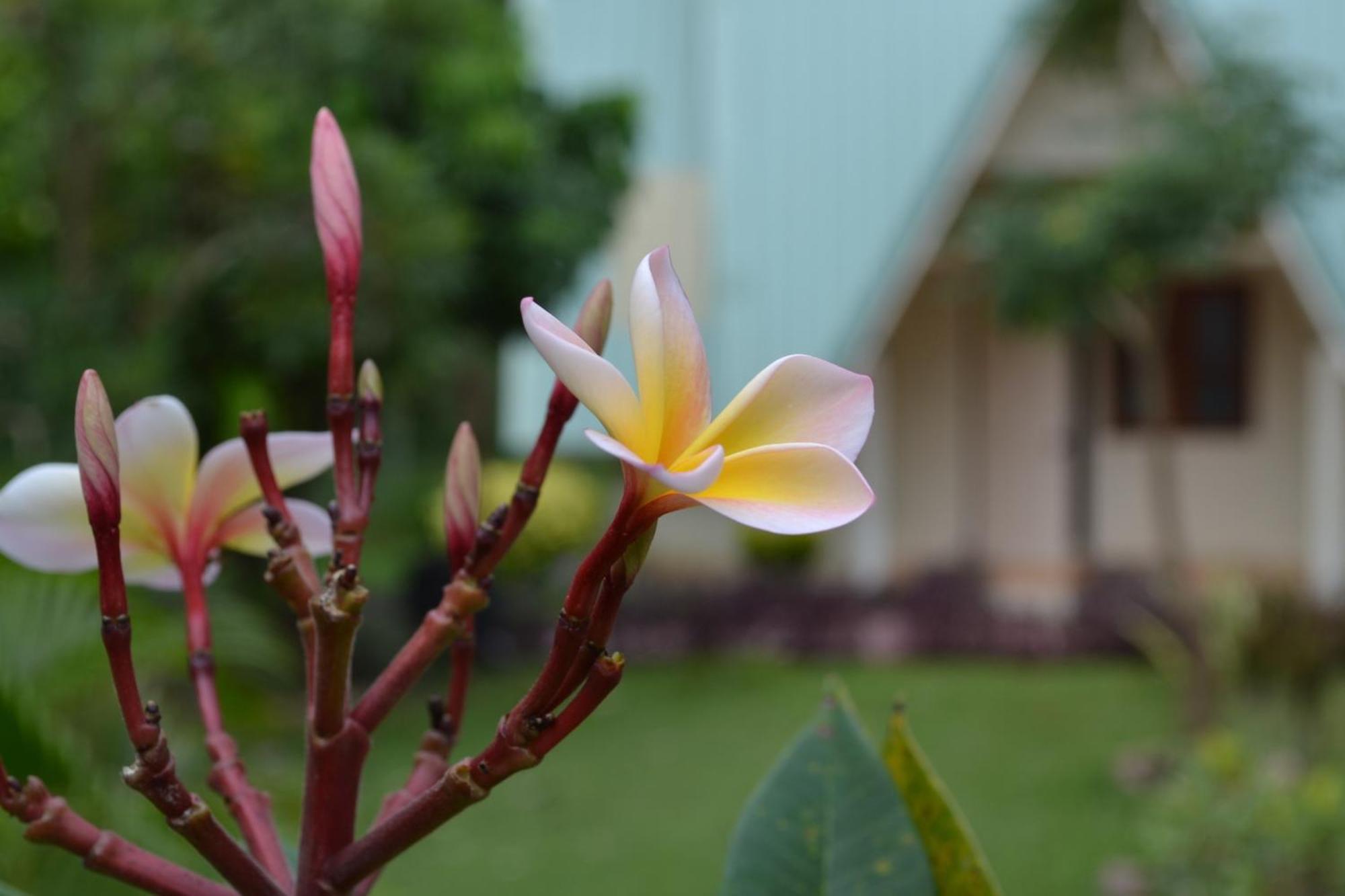 Touch Star Resort - Doi Inthanon Chom Thong Esterno foto