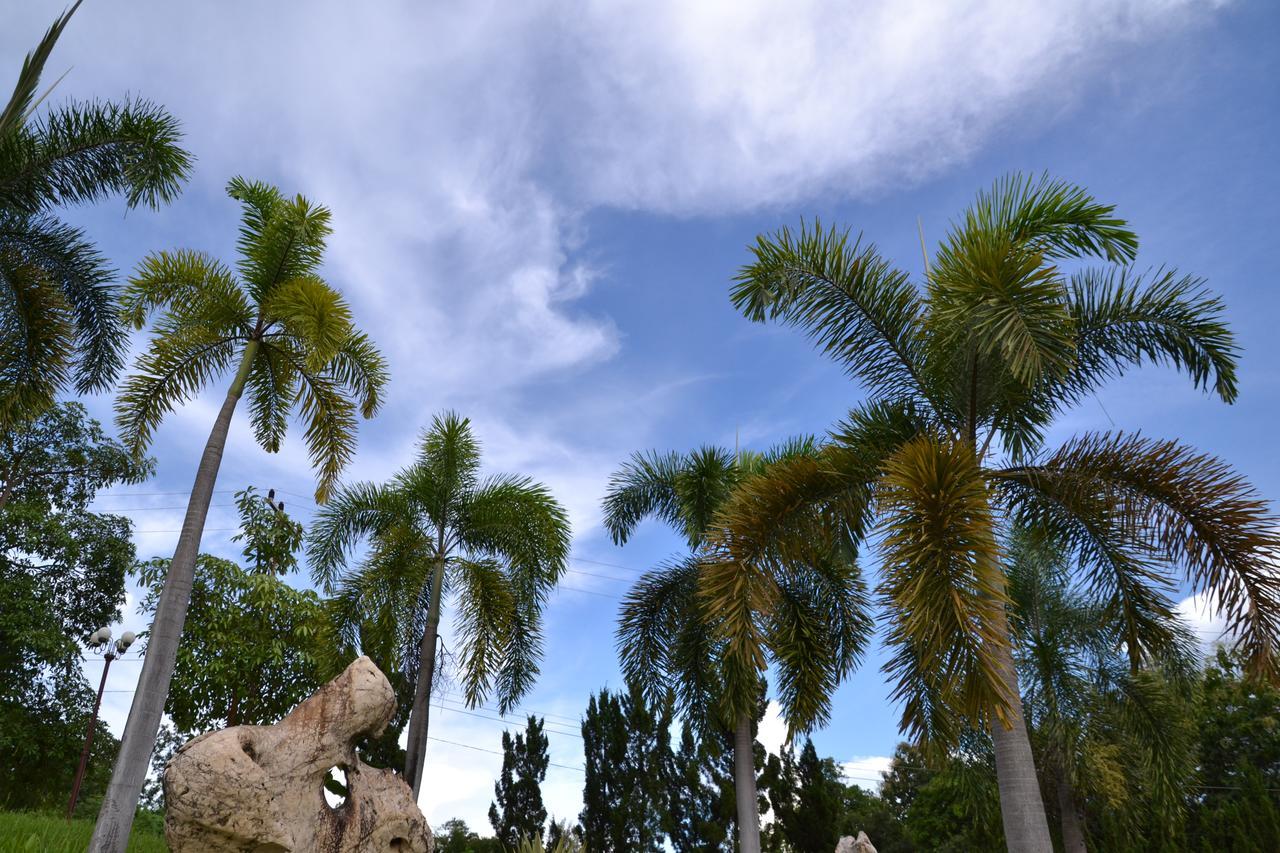 Touch Star Resort - Doi Inthanon Chom Thong Esterno foto